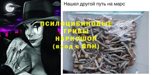 мдма Няндома